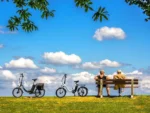 20 Zoll Elektrofahrrad Pedelec,E-Klapprad 48V/13Ah,250W Motor,25km/h,E-Bike, 20-Zoll-Elektro-bike,klapprad, Elektrofahrräder – Image 2