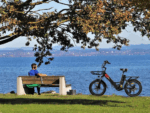 20.8Ah 20 Zoll ebike E-Bike City E-Bikes & E-Hollandräder Elektrofahrrad Tire für Schnee, Stadt, Strand 90KM Reichweite & 150KG Belastung E-Klapprad – Image 10