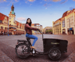 SachsenRAD E-Lastenrad T1 Grand Trunk, Flexible Transportbox mit Versteckter,Abschließbarer Box mit LCD Display und StVZO-Zugelassung, Kindertransport – Image 6