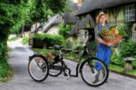 SachsenRad E-Lastenrad T3A Trio Edition 2025 mit Alarmanlage mit LCD Display und StVZO-Zugelassung – Image 4